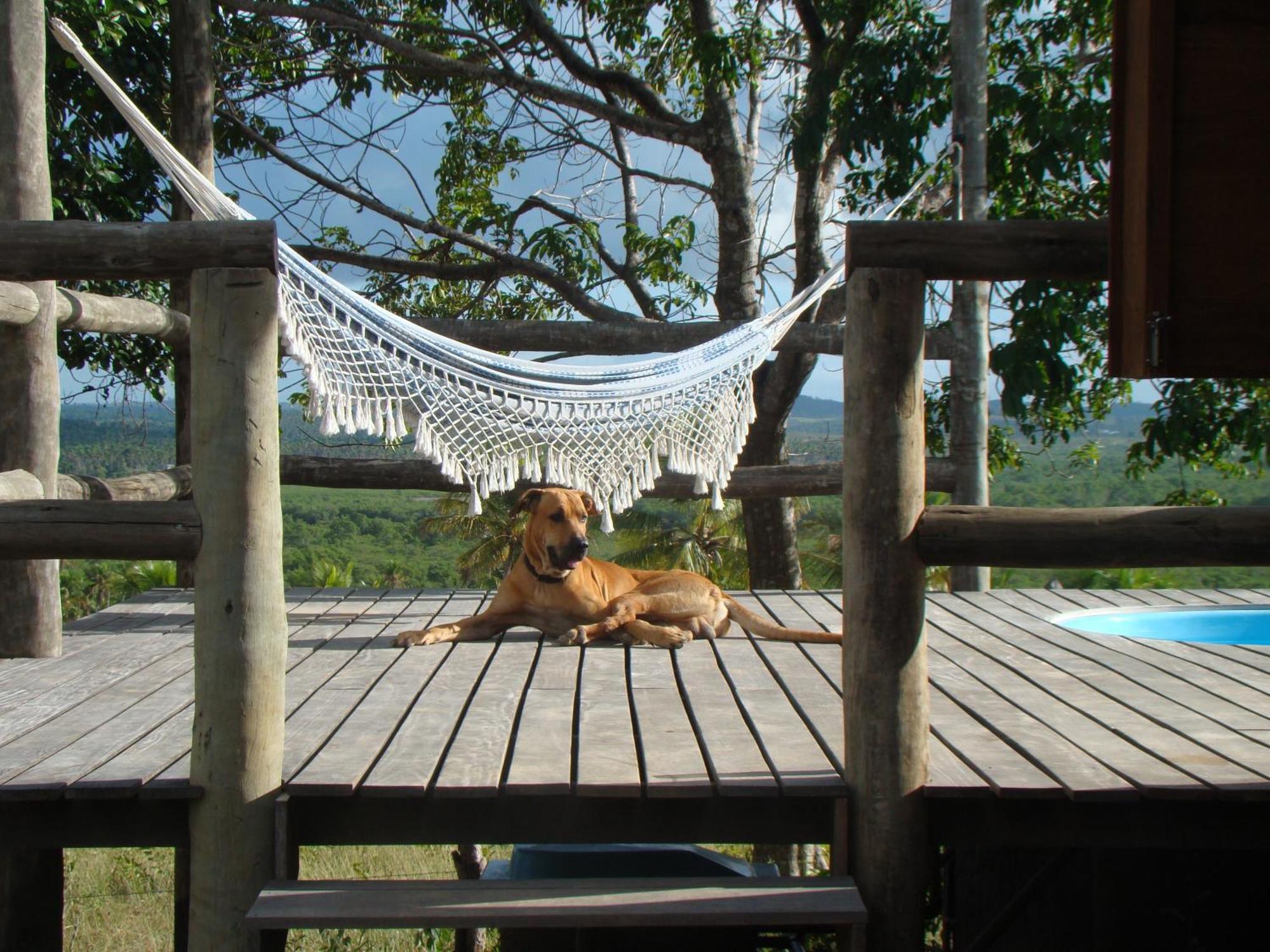 Pura Vida Bahia Hotel Abadia Bilik gambar